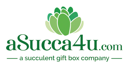 Image of asucca4u logo